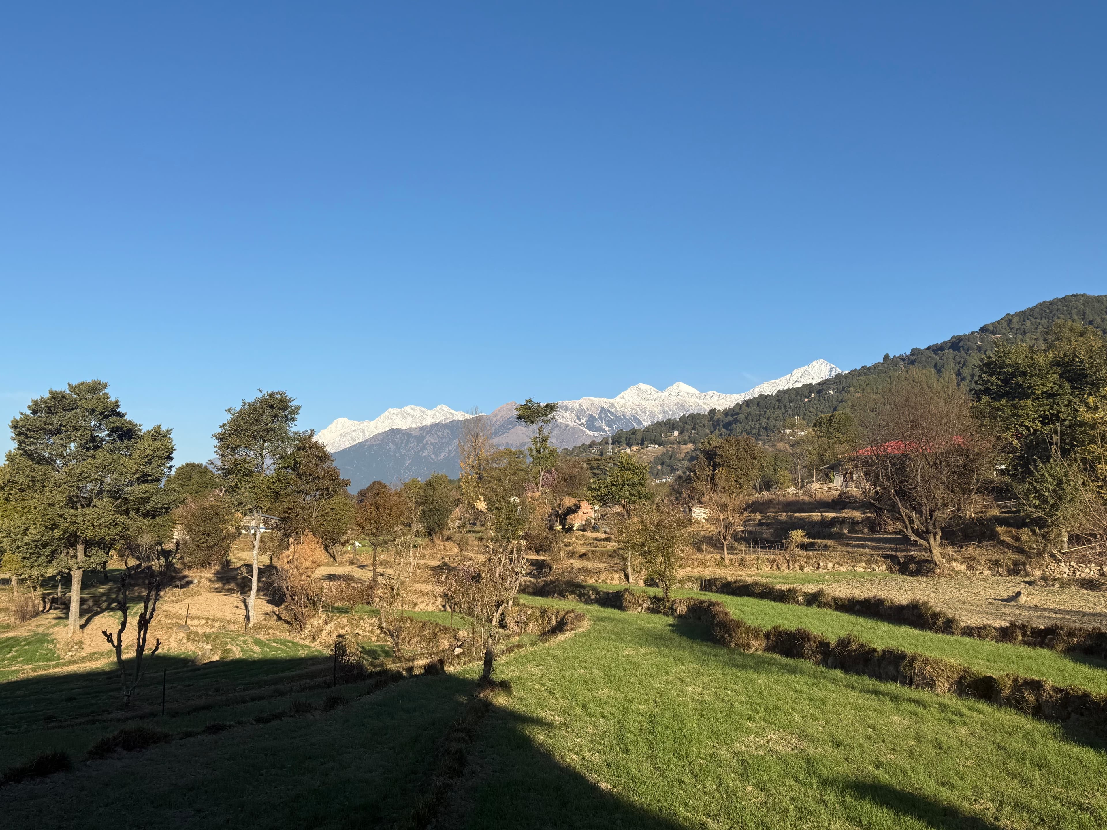 Morning mist over trees and mountains