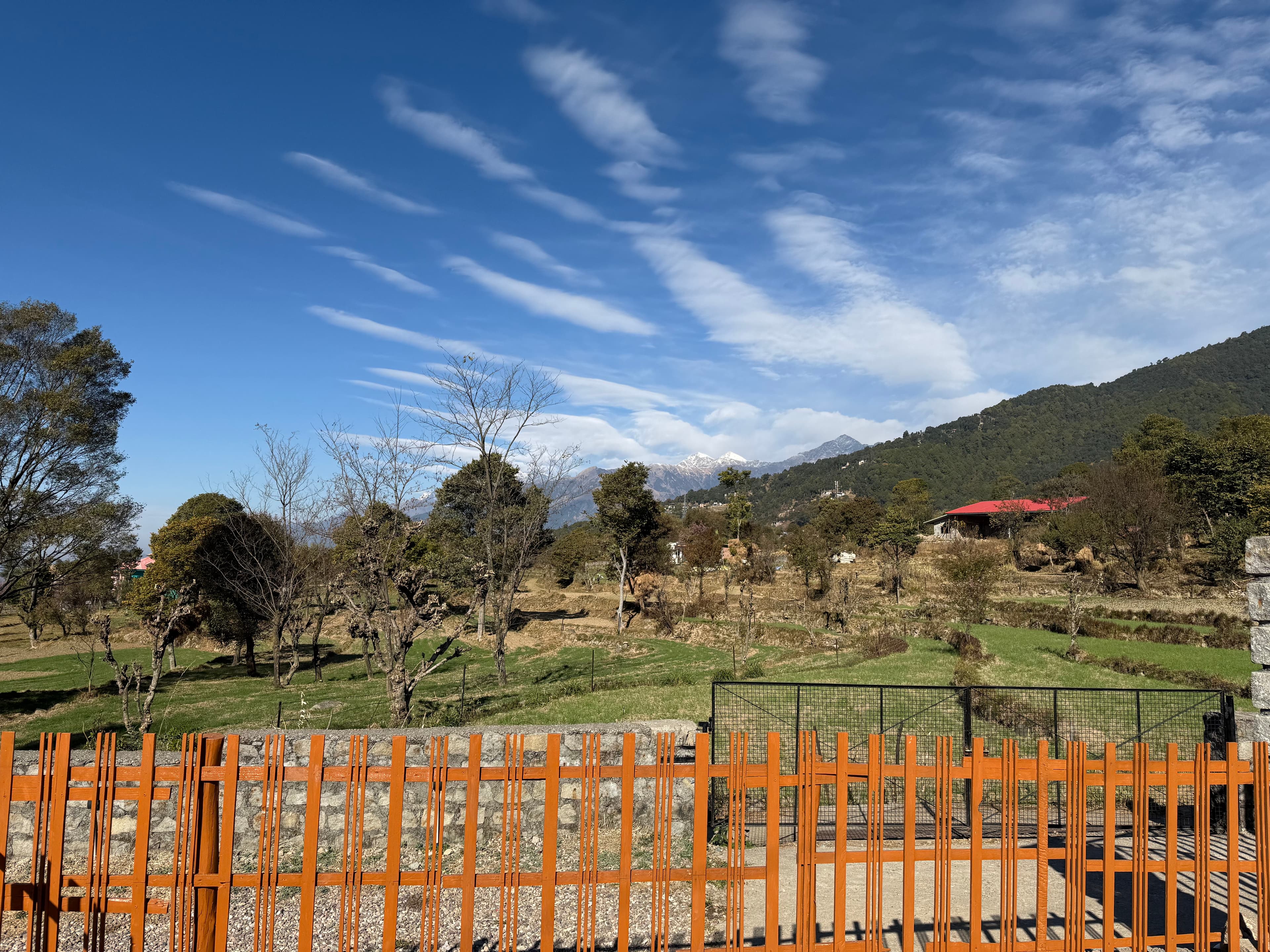 Morning view of snow mountains with green field