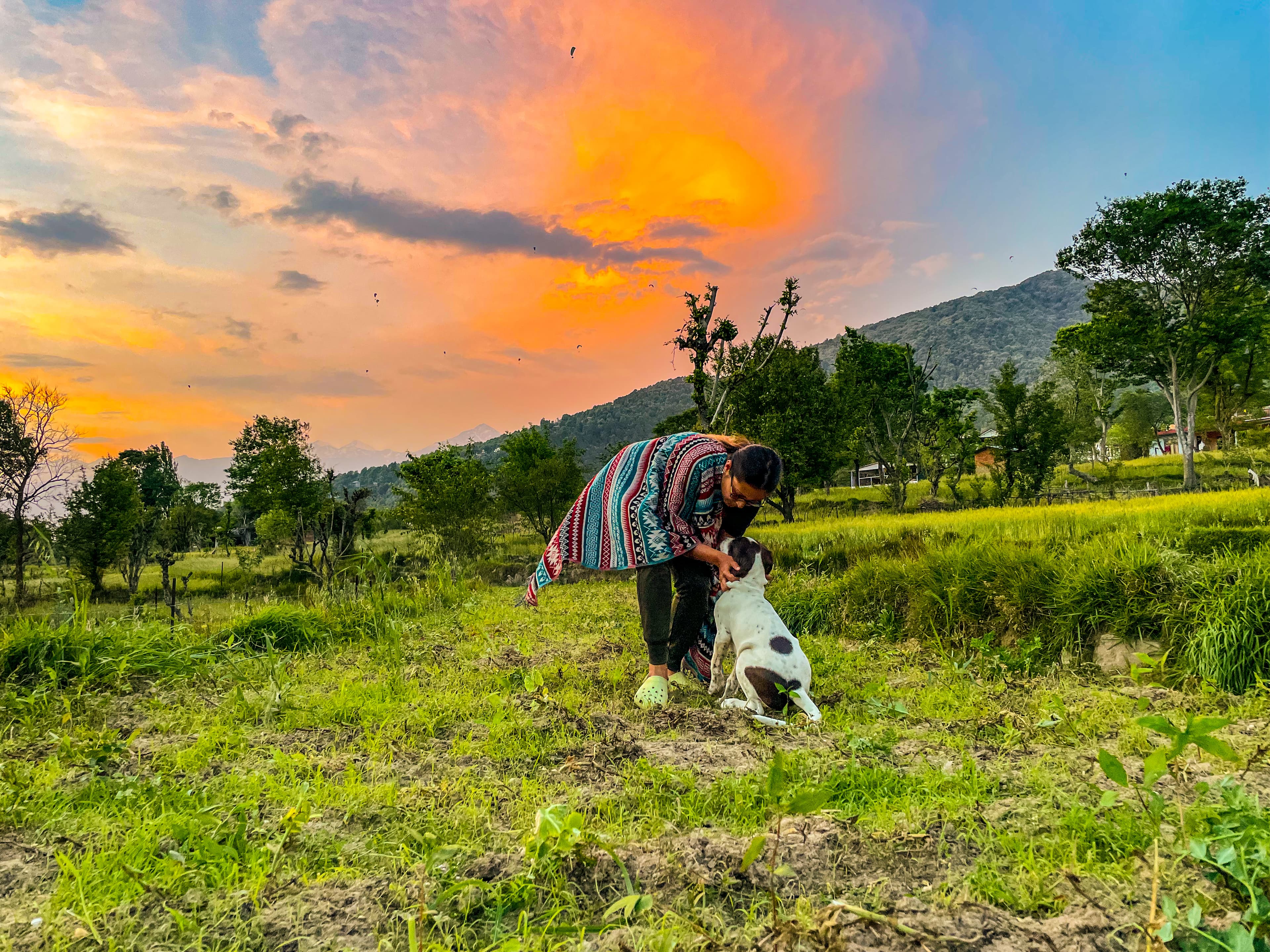 Multiple paragliders in sky over mountains
