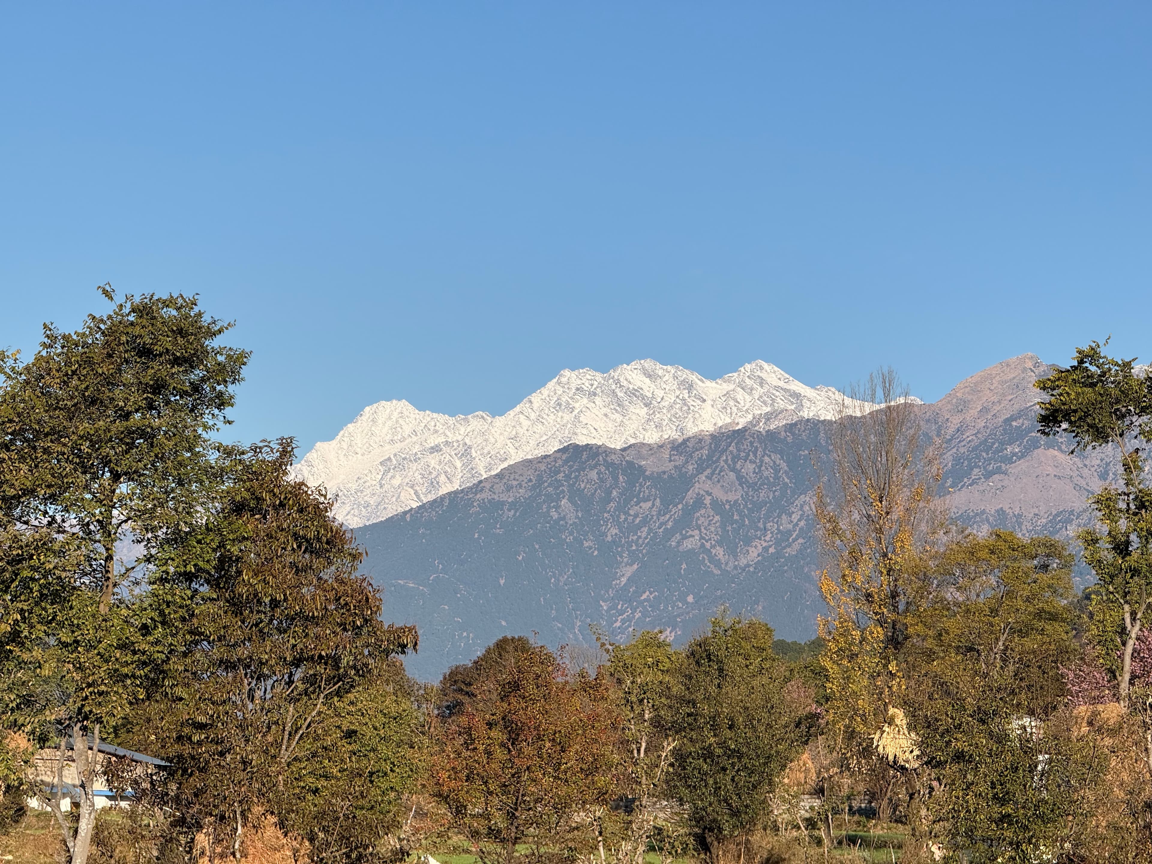 Snow-capped peaks with dense forested slopes