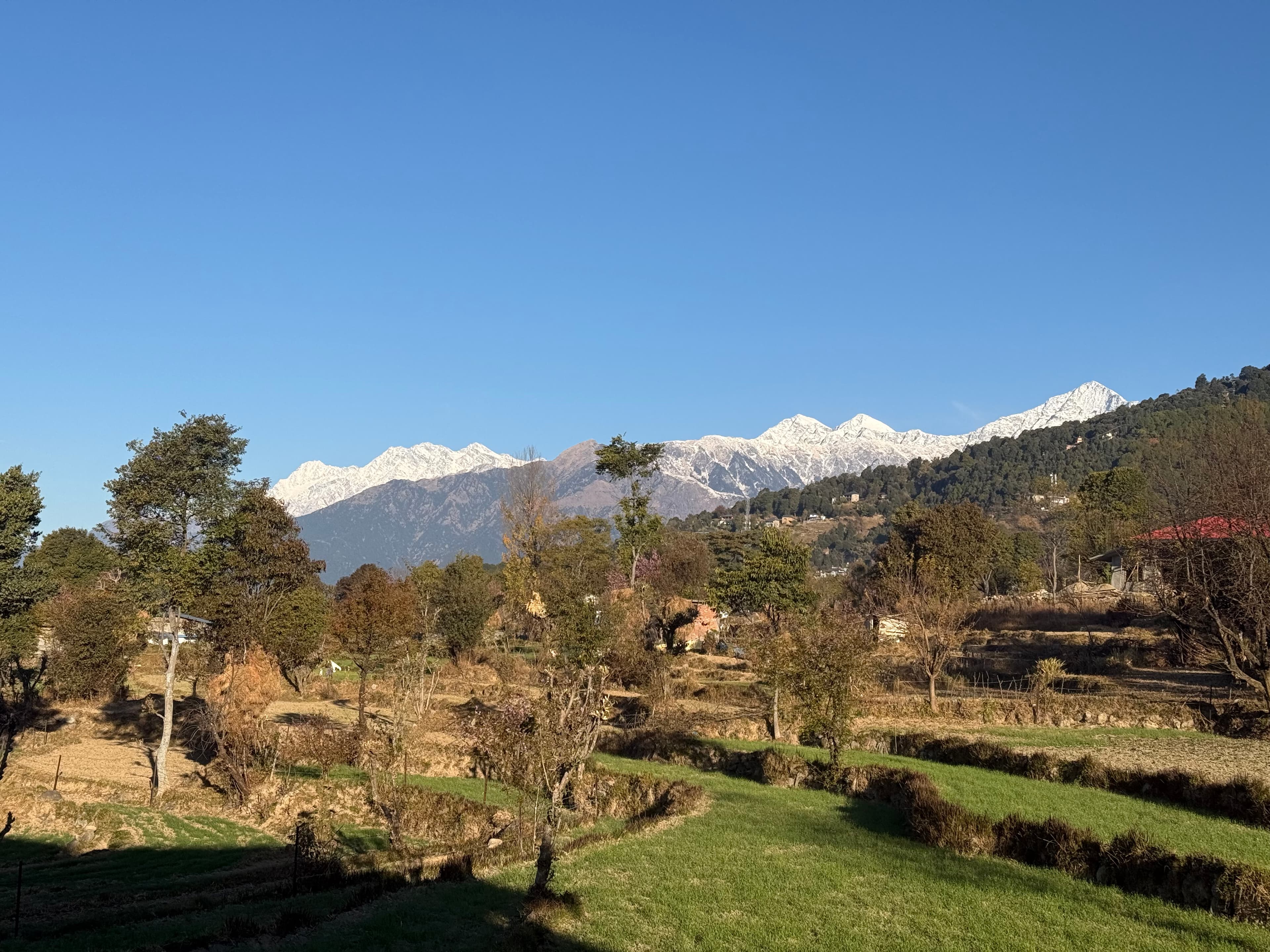 Panoramic view of snow-capped peaks with trees