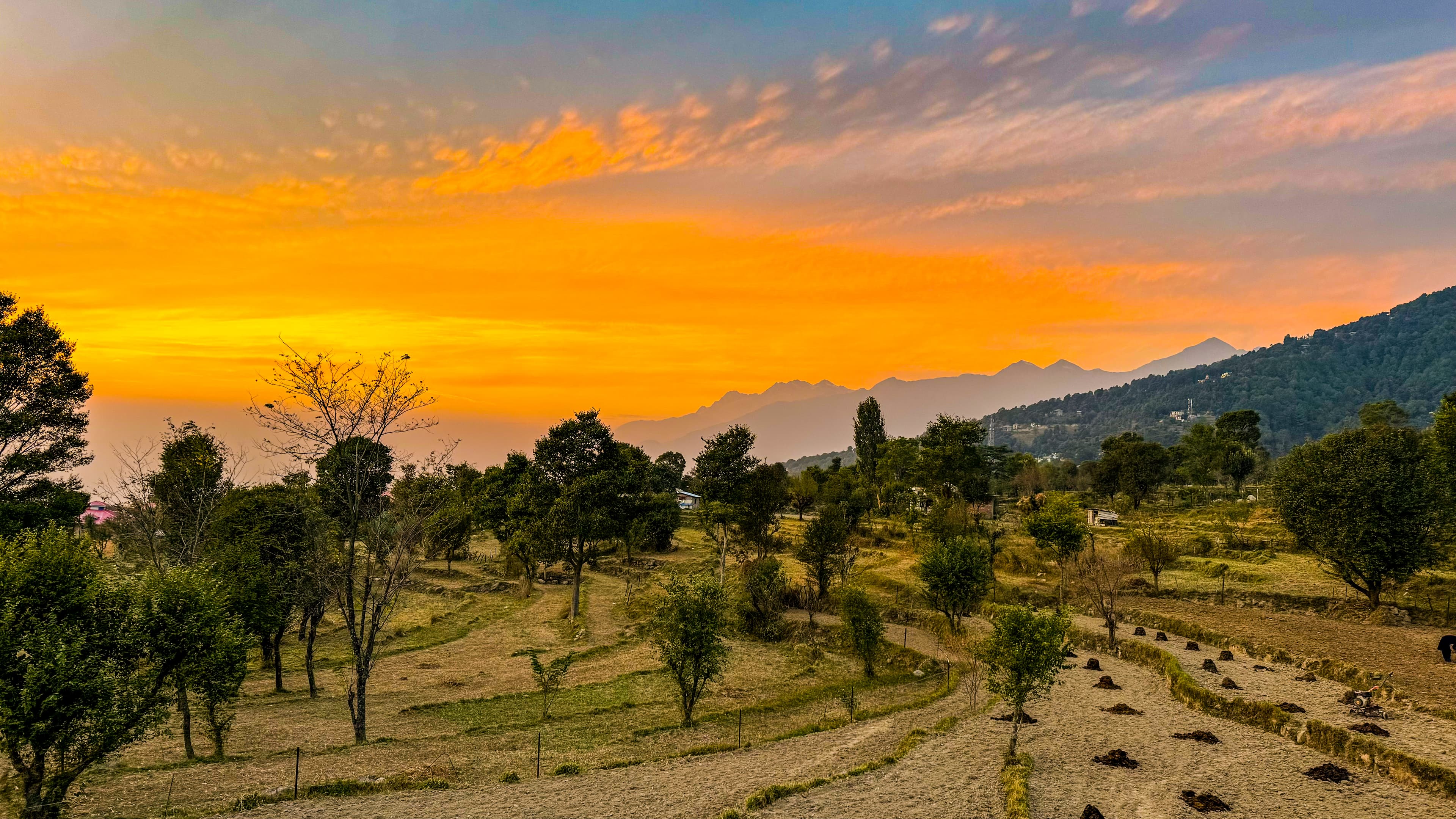 Sunset over terraced fields and mountains with vibrant orange sky