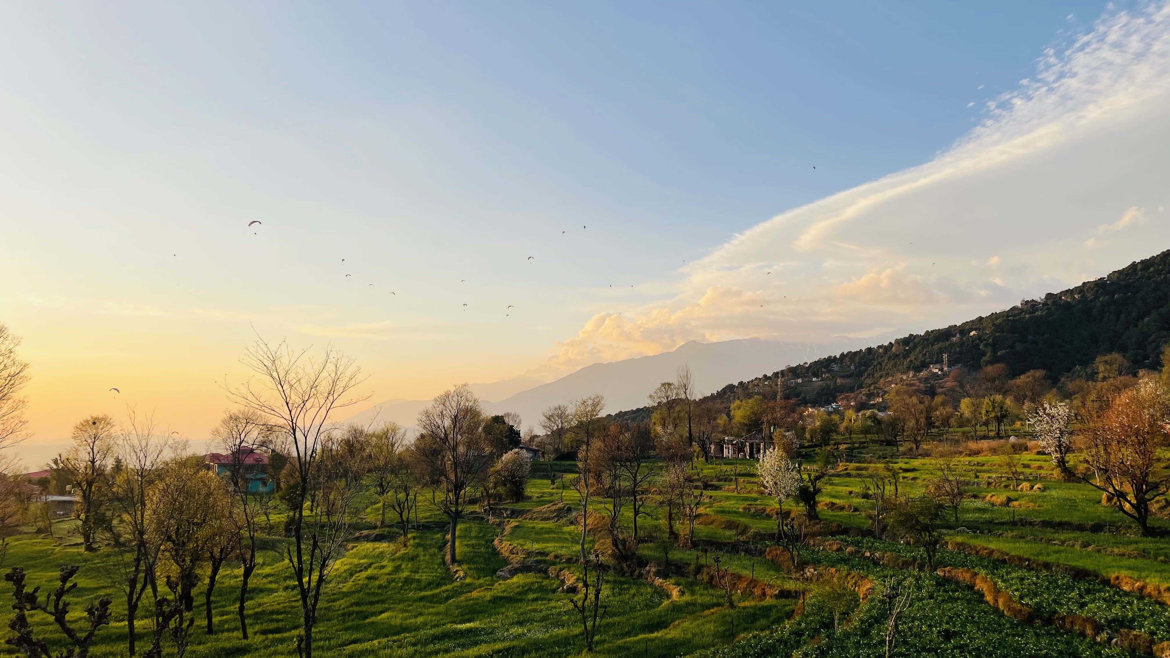 Paragliding at sunset